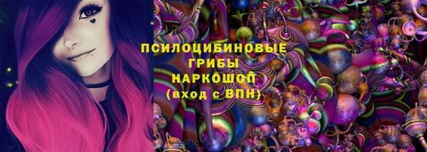 индика Алексеевка