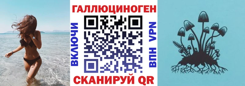 маркетплейс клад  Старая Русса  Псилоцибиновые грибы Psilocybe  наркошоп 
