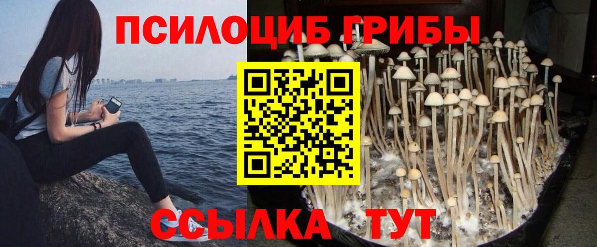 Галлюциногенные грибы MAGIC MUSHROOMS  Псилоцибиновые грибы мицелий  Вход с VPN  Старая Русса 