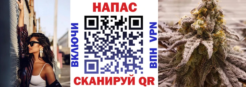 МАРИХУАНА план Старая Русса
